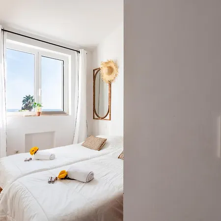 Luna Vi4339 By Riviera Homes Villa